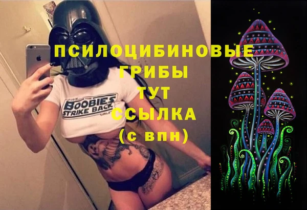 твердый Костерёво