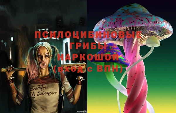 твердый Коряжма