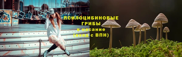 твердый Коряжма