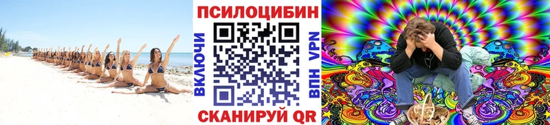 Купить где  Павловская  Галлюциногенные грибы GOLDEN TEACHER 