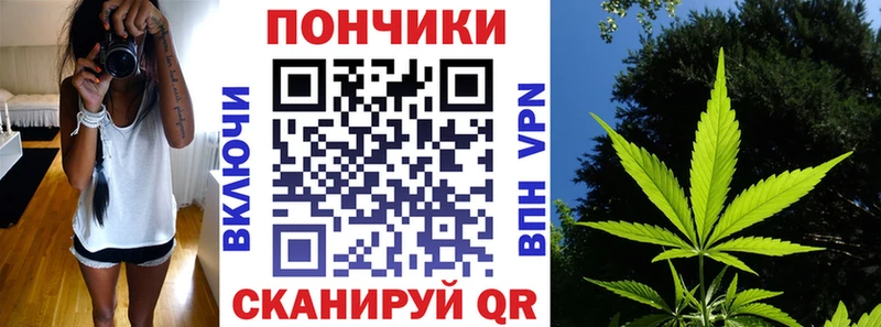 Купить где  Павловская  Канабис White Widow 